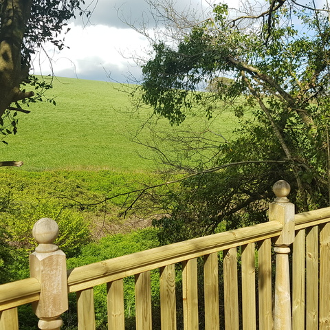 Stunning Views From The New Oak 2