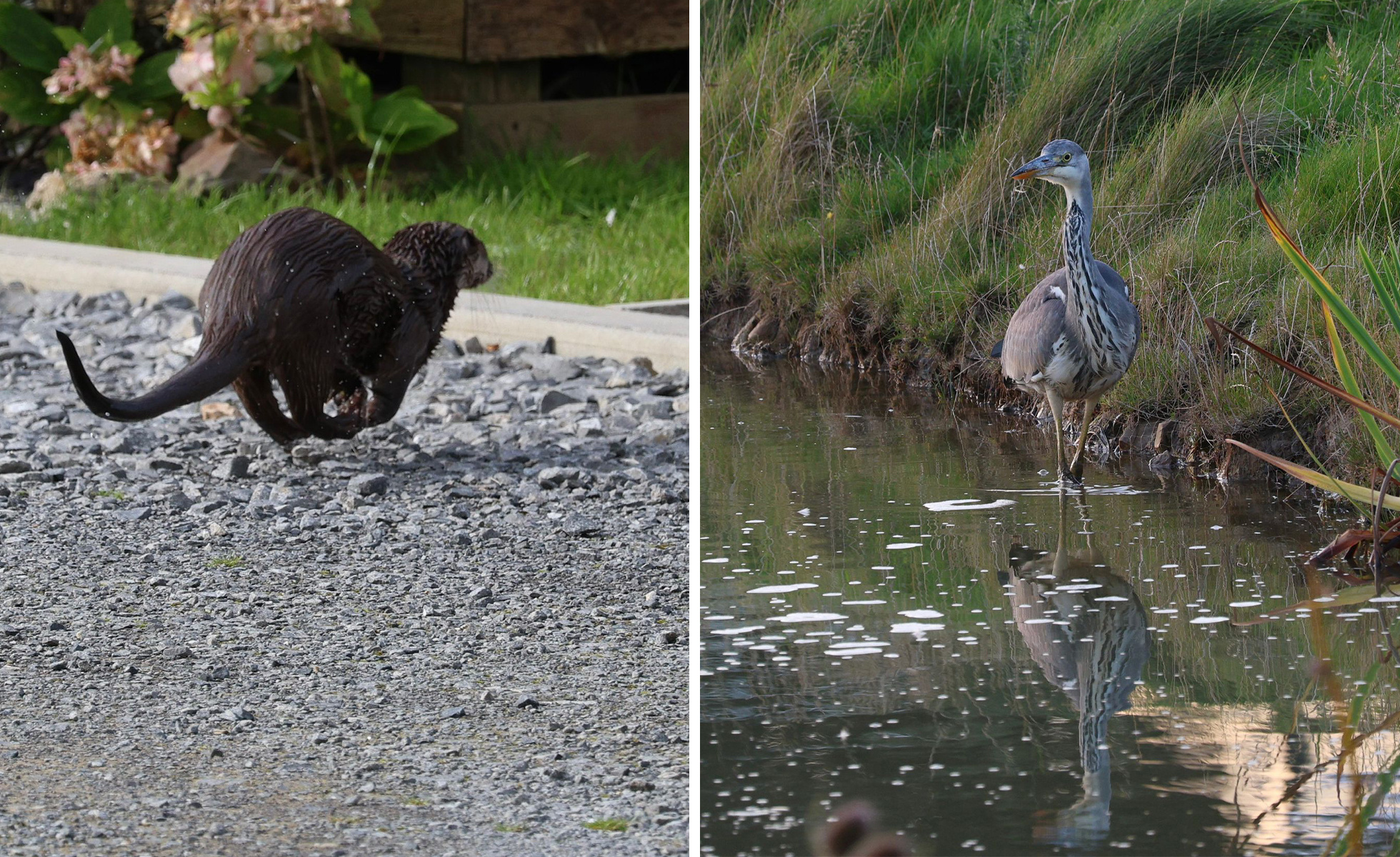 Trefalun Holiday Park